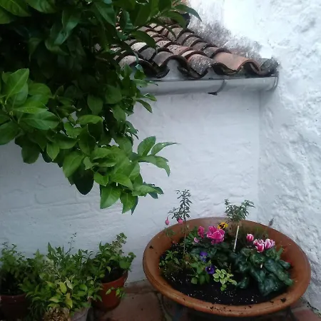 El Horno De La Tobala Holiday home *